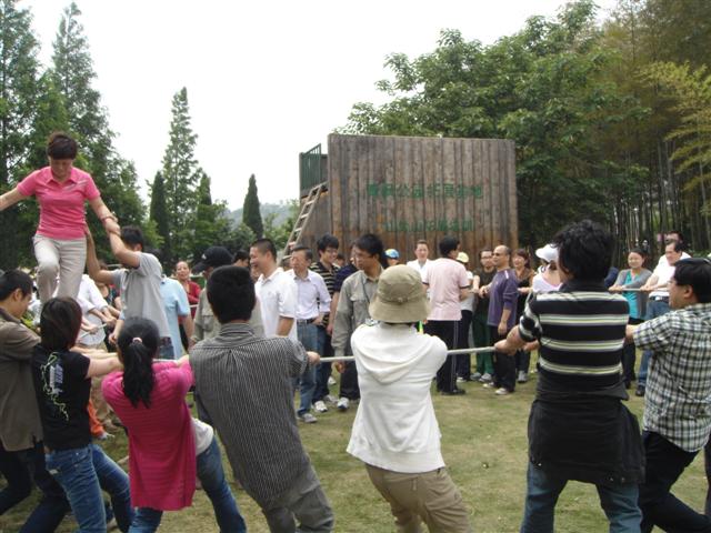 团队同心圆